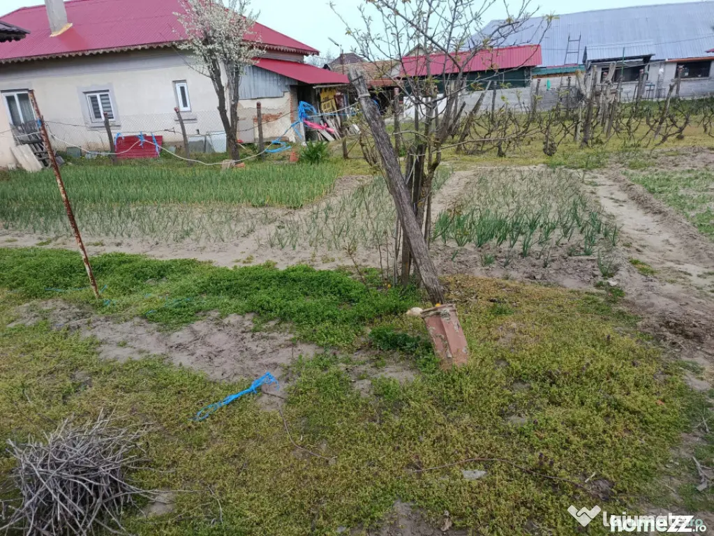 Casa de vanzare CELARU-APELE VII Dolj teren 8481 mp - Soreni (Dolj)