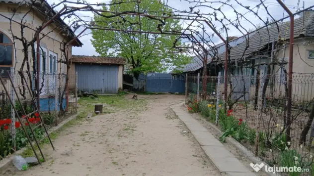 Casa localitatea Soreni Dolj (Comuna Celaru ) teren 8481 mp
