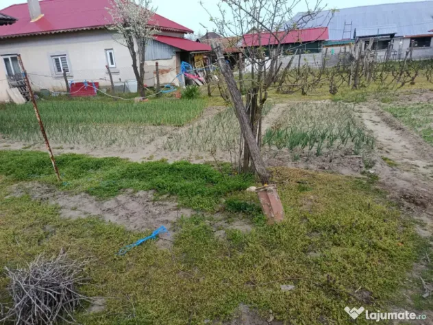 Casa localitatea Soreni Dolj (Comuna Celaru ) teren 8481 mp