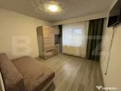 Apartament de 2 camere, Dumbrava Nord 