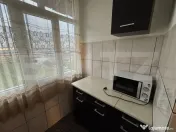 Apartament de 2 camere, Dumbrava Nord 