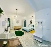 Garsonieră cochetă, mobilată modern, ideală pentru inves 