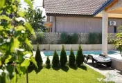 Vila lux 5 camere cu piscina in Dragomiresti-Vale 