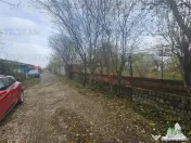 Teren 2000mp intre case langa Padurea Teghes 