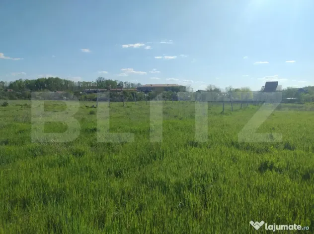 Teren intravilan, 2194 mp, 17 m deschidere, zona Mofleni