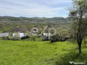 Panoramă superbă - 14.613 mp lângă A1 Tigveni - 1,5h pâ 