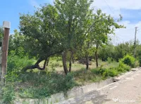 Teren intravilan 2440 m2 