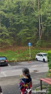 Apartament 2 camere Jepilor Racadau cu loc de parcare 