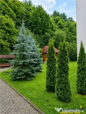 Marginita de apa curgatoare, idilic areal, utilitati prezent 