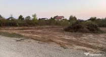 Teren intravilan Mogosoaia 1290mp (2 loturi- 509mp și 781mp)