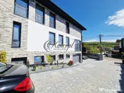 Casa individuala in Faget 