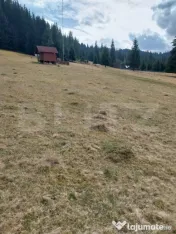 Teren intravilan, 4000 mp, Vatra Dornei 