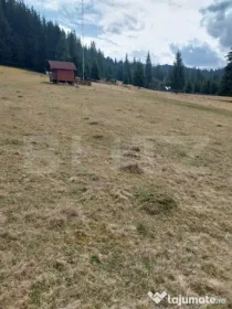 Teren intravilan, 4000 mp, Vatra Dornei
