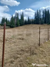 Teren intravilan, 4000 mp, Vatra Dornei 