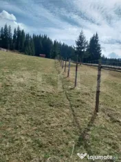 Teren intravilan, 4000 mp, Vatra Dornei 