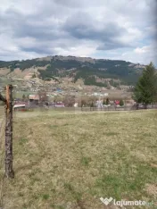 Teren intravilan, 4000 mp, Vatra Dornei 