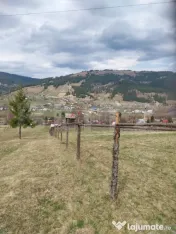 Teren intravilan, 4000 mp, Vatra Dornei 