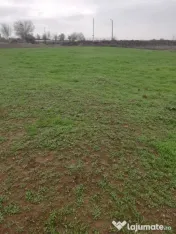 Teren intravilan Ghercești - 1000mp 