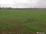 Teren intravilan Ghercești - 1000mp 