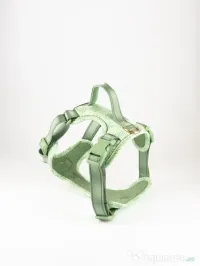 Signature Walk Set Verde (3 Bucăți) - Lesă, Zgardă, Ham Reglabile pentru câini 