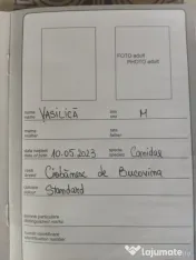 Vând câine "Ciobanesc de Bucovina" 