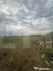 Casă spațioasă, 177 mp construiți, teren 3400 mp, 5 came 