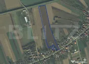 Teren intravilan de vanzare, 27.958 mp, in Vetis 