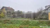 Teren intravilan de vanzare, 27.958 mp, in Vetis 