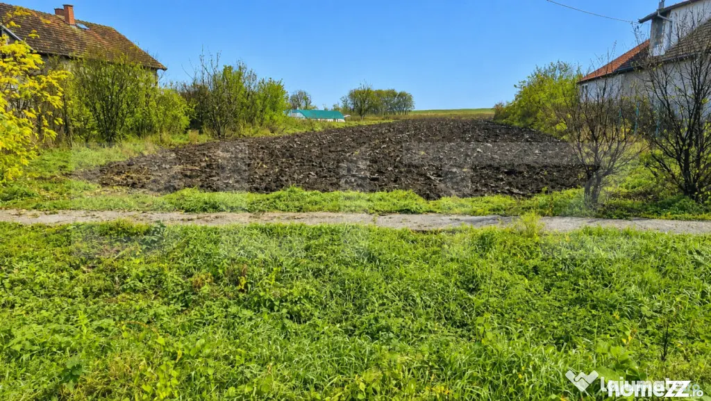 Teren intravilan de vanzare, 27.958 mp, in Vetis
