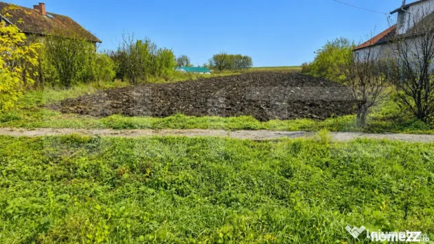 Teren intravilan de vanzare, 27.958 mp, in Vetis