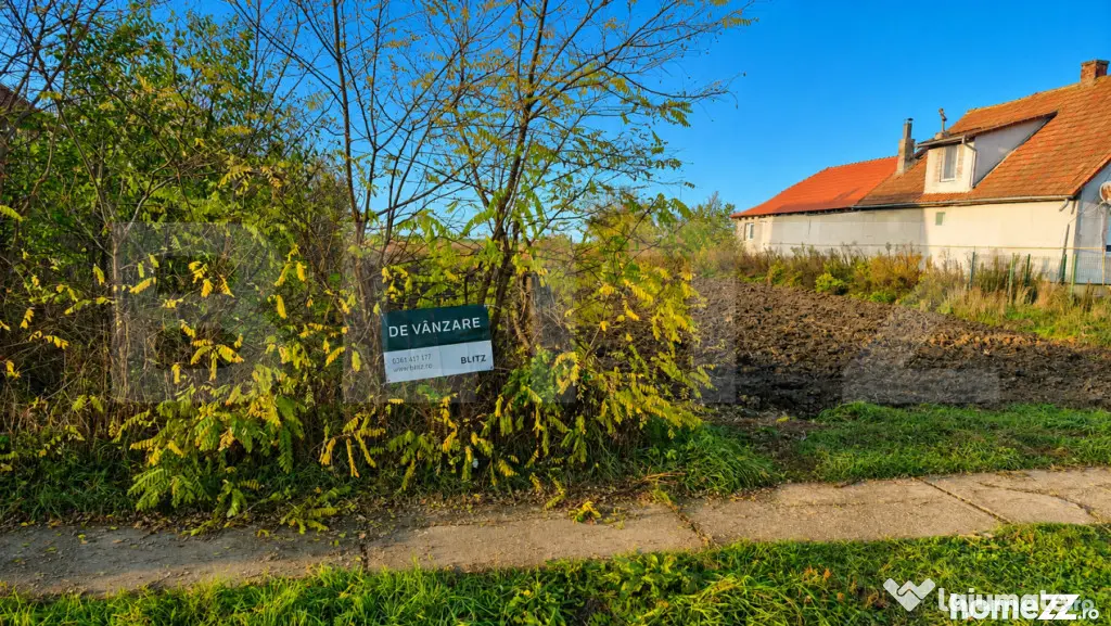 Teren intravilan de vanzare, 27.958 mp, in Vetis