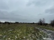 Teren intravilan 10.000 mp în Coșoveni – deschidere 21,5 