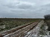 Teren intravilan 10.000 mp în Coșoveni – deschidere 21,5 