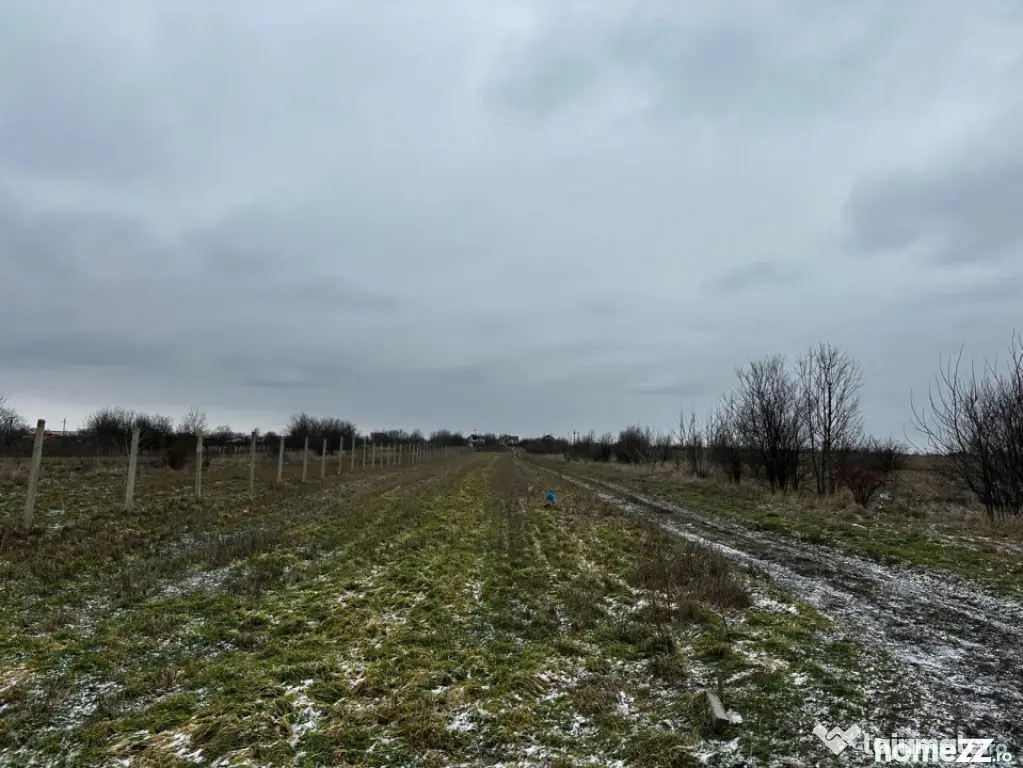 Teren intravilan 10.000 mp în Coșoveni – deschidere 21,5