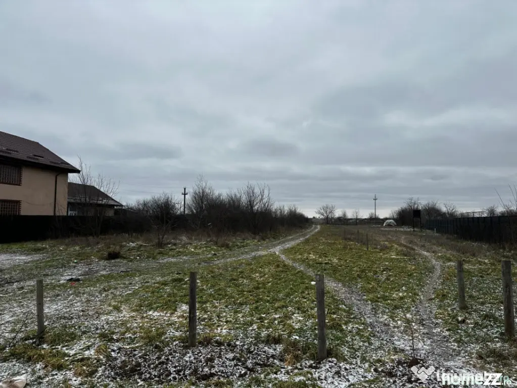 Teren intravilan 10.000 mp în Coșoveni – deschidere 21,5