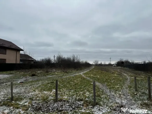 Teren intravilan 10.000 mp în Coșoveni – deschidere 21,5