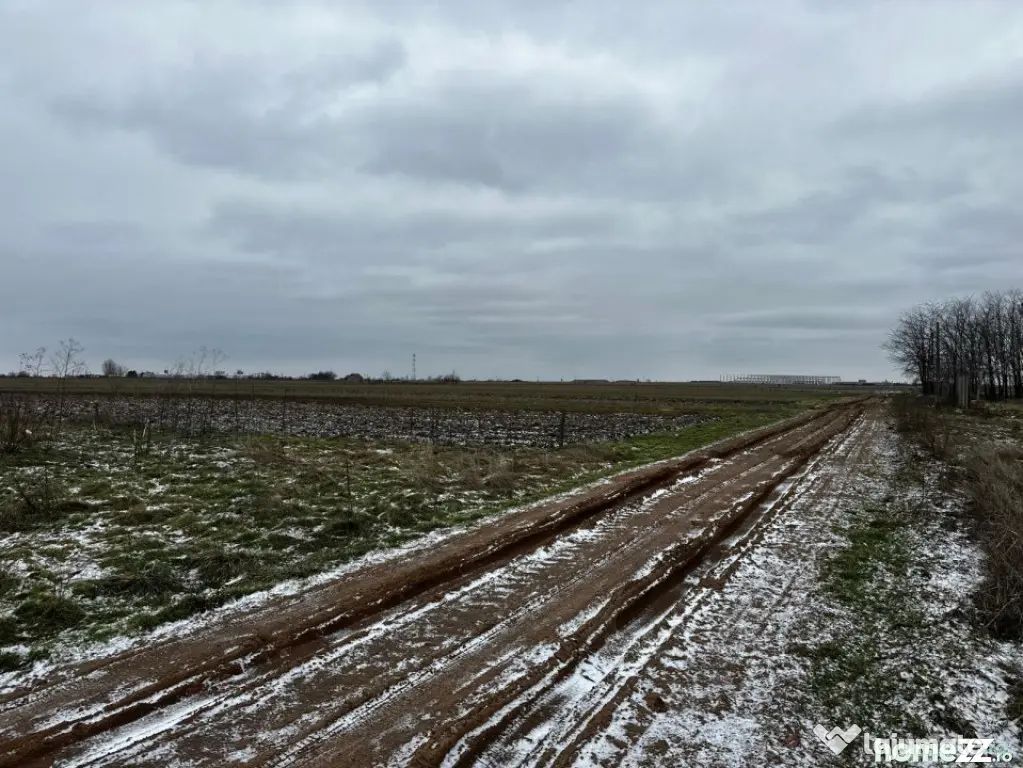 Teren intravilan 10.000 mp în Coșoveni – deschidere 21,5