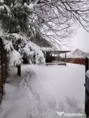 Cabana cochetă din lemn în Beliș – 3 camere, ideală pe 