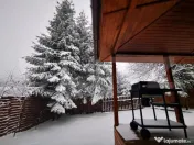 Cabana cochetă din lemn în Beliș – 3 camere, ideală pe 