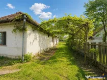 Casa cu 1.924 mp teren, de inchiriat, Sfantu Gheorghe