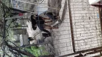 Pui ciobanesc german