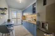 Apartament 2 camere,tip penthouse,mobilat, utilat,2 terase,1 