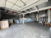 Spatiu industrial Crevedia 