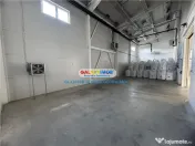 Spatiu industrial Crevedia 