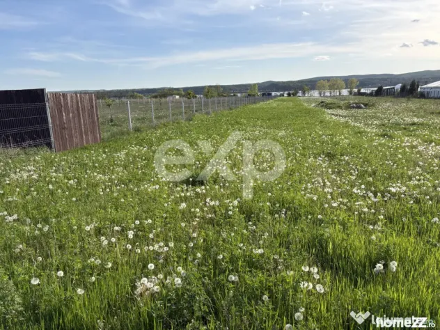 Teren 2100 mp cu ieșire la lac – Budeasa Mare
