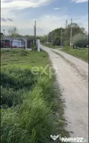 Teren 2100 mp cu ieșire la lac – Budeasa Mare