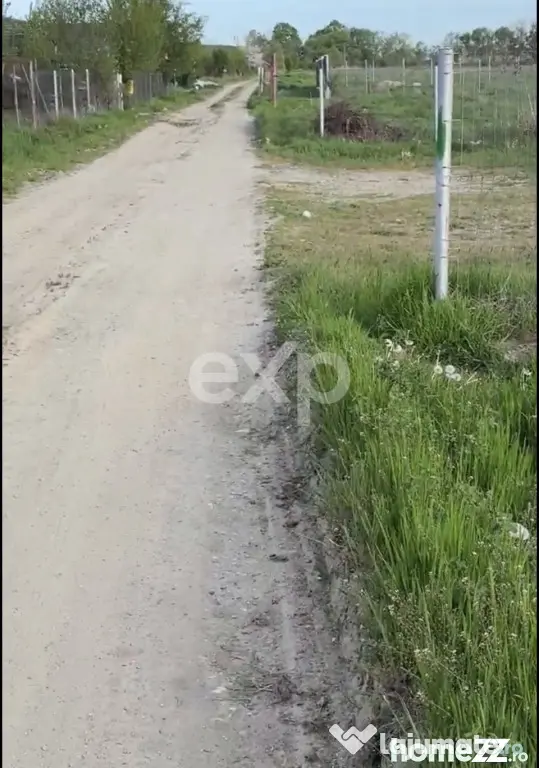 Teren 2100 mp cu ieșire la lac – Budeasa Mare