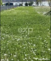 Teren 2100 mp cu ieșire la lac – Budeasa Mare 