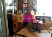 Apartament Elegant in Vilă zona Gradina Botanica-Splaiul... 