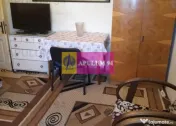 Apartament Elegant in Vilă zona Gradina Botanica-Splaiul... 